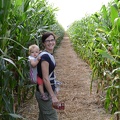 Corn Maze Entrance3